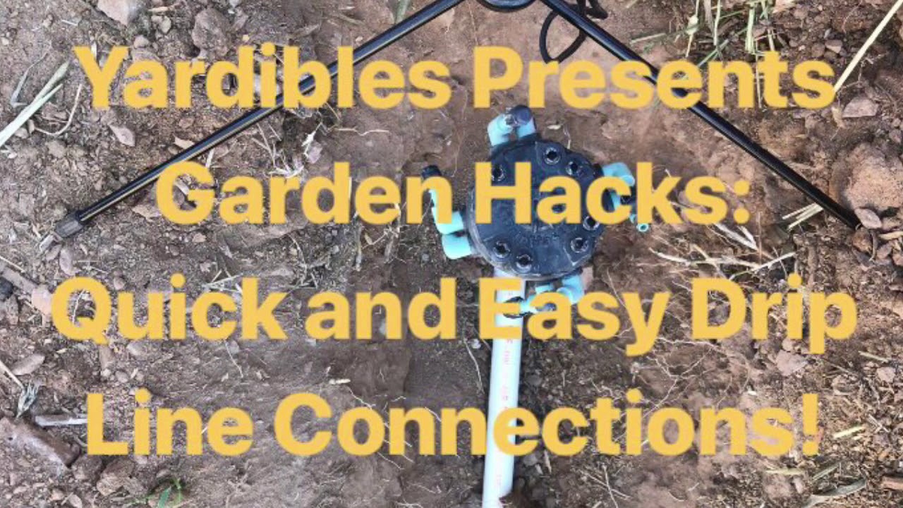 Easy Irrigation Drip Line Install Hack YouTube