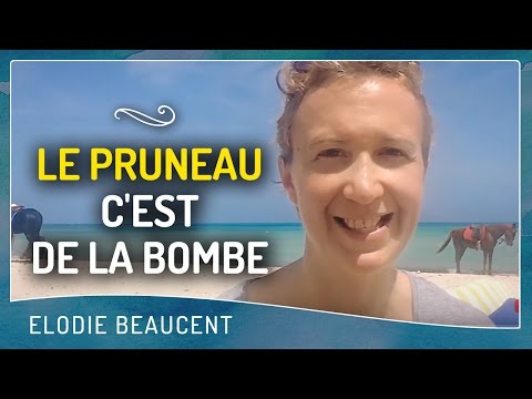 Vidéo: Combien de pruneaux pouvez-vous manger