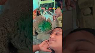 mor 🦚 desi#😱💪🦚 Jay Shri Ram video