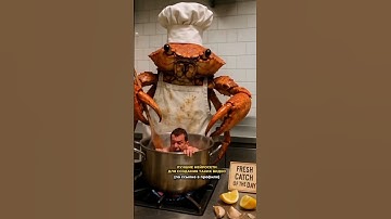 Нейросети создающие видео клипы и фильмы уже реальность #искусственныйинтеллект #ии #ai #нейросеть