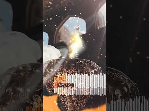 روحت لشيح وعملى انا زار