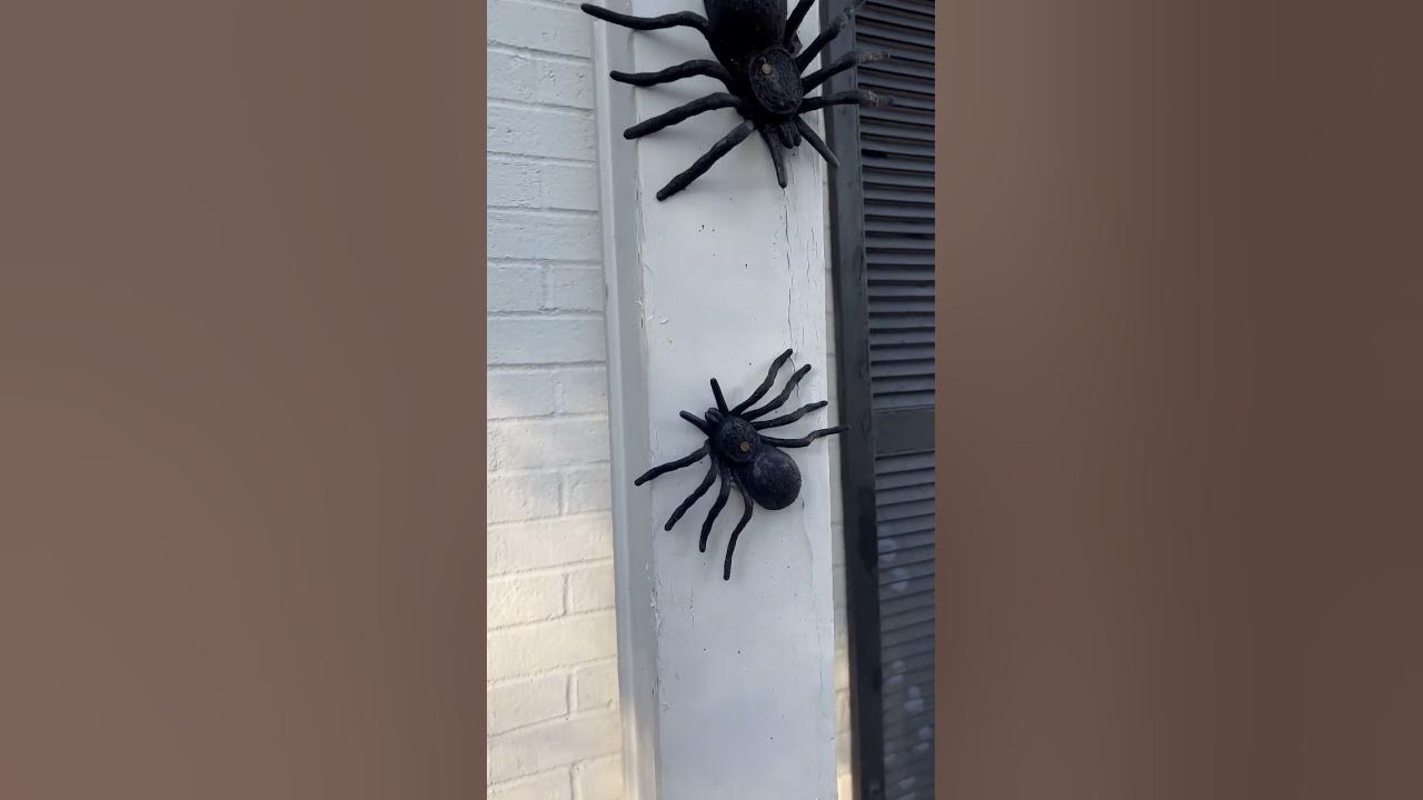 ITSY BITSY SPIDER 🕷️, SCARY HALLOWEEN 👻 #shorts #spider #halloween #scary