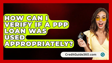 How Can I Verify if a PPP Loan Was Used Appropriately? | CreditGuide360 News