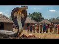 The Child Born from an Egg – A Snake Gave Birth to a Baby – The Villagers Were Shocked!