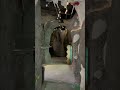We Built a Giant Cave Inside a Kids Museum!