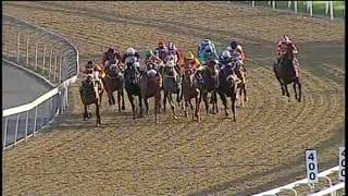 20190908 Hollywood Bets Greyville express clip Race 8 won by WHAT A THRILL