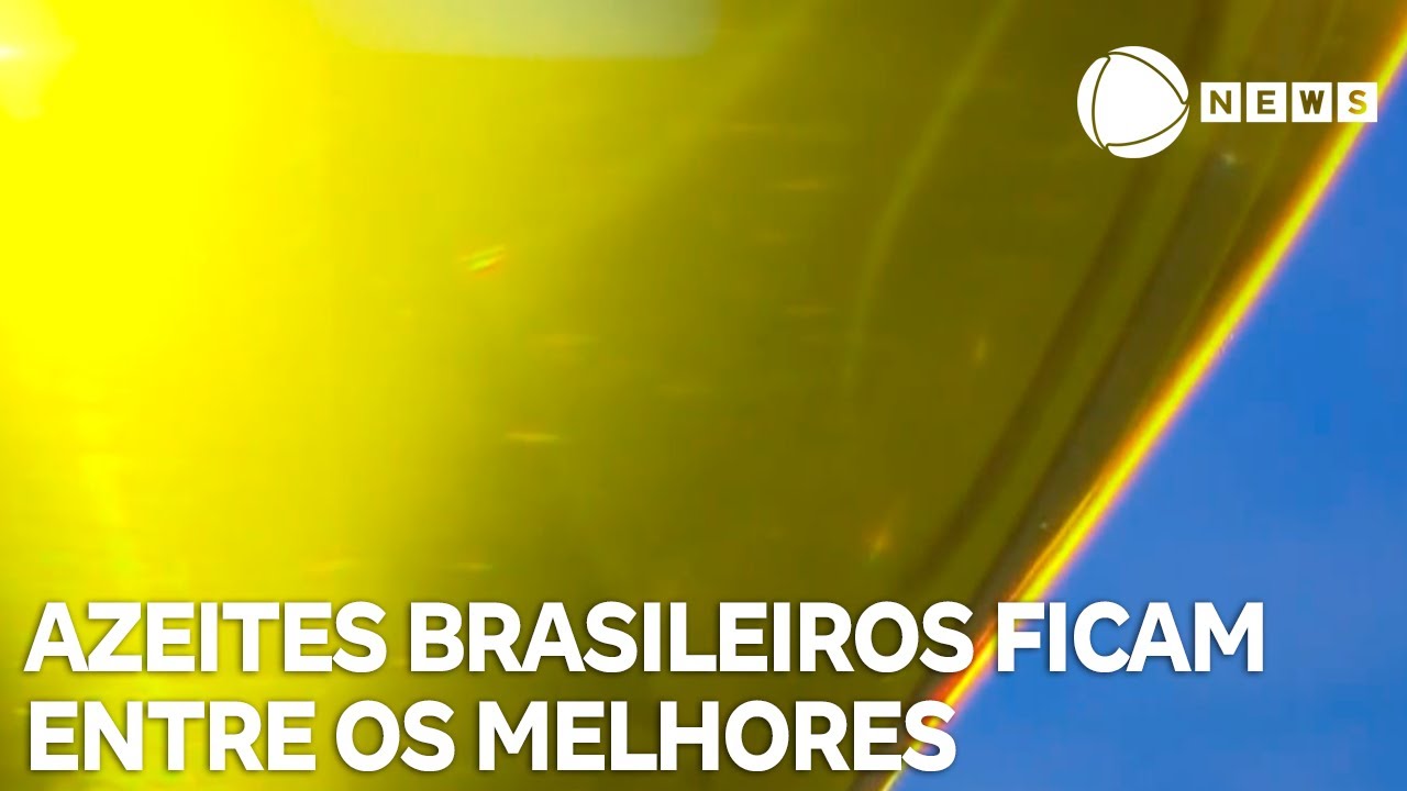 Azeites brasileiros ficam entre os melhores do mundo