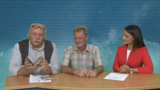 Infostudija 2016-08-12