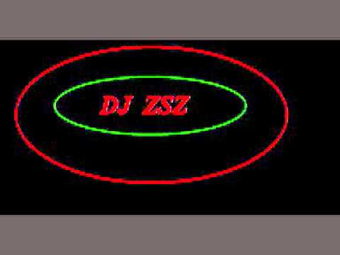 LMFAO-Scream my Name (Remix by DJ ZSZ)