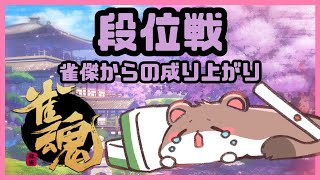オコジョの成り上がり13　#雀魂　#段位戦