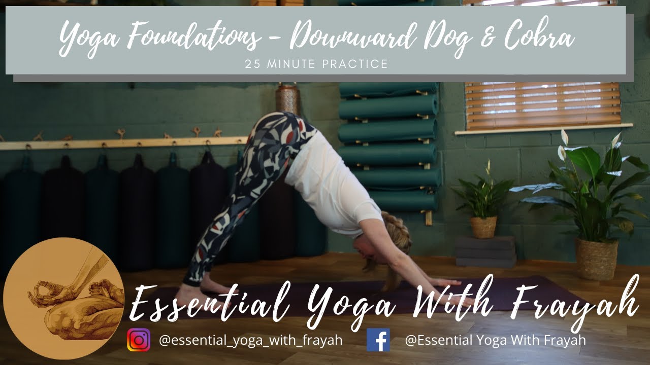 YOGA FOUNDATIONS // How to do Down Dog and Cobra  with@essential_yoga_with_frayah 