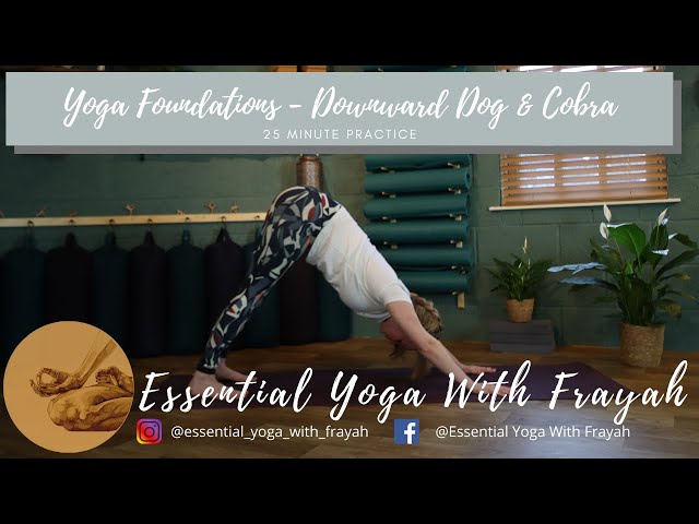 YOGA FOUNDATIONS // How to do Down Dog and Cobra  with@essential_yoga_with_frayah 