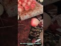 Making Realistic Fake Apples with Paint