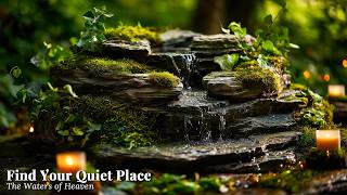 A Calm Forest Hideaway 🍃 Soft Water Sounds and Gentle Healing Piano for Stress Relief screenshot 5