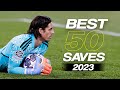 Best 50 goalkeeper saves 2023  29