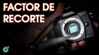 Factor de Recorte Explicado by Defecto Digital 6,676 views 5 years ago 6 minutes, 58 seconds