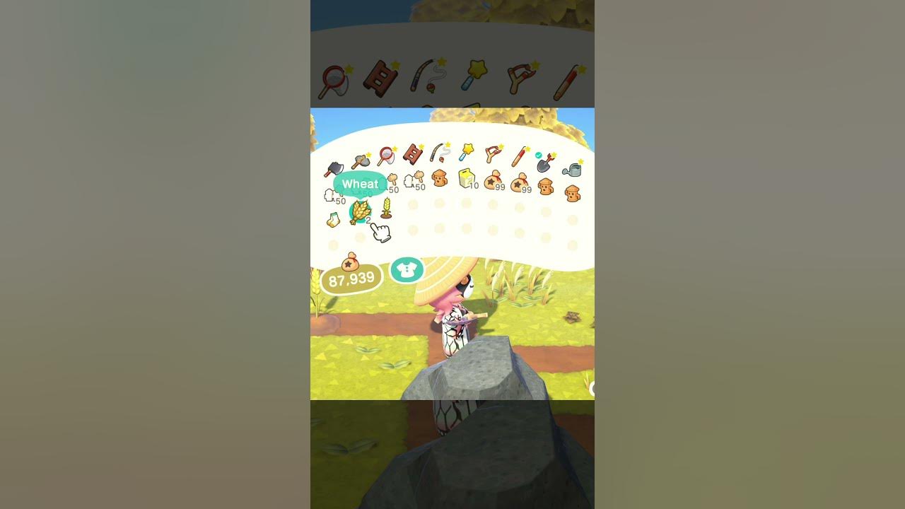 How to Find & Grow Wheat - Animal Crossing New Horizons 2.0 