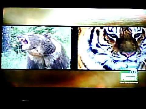 Animal Planet - Animal Face - Off - YouTube