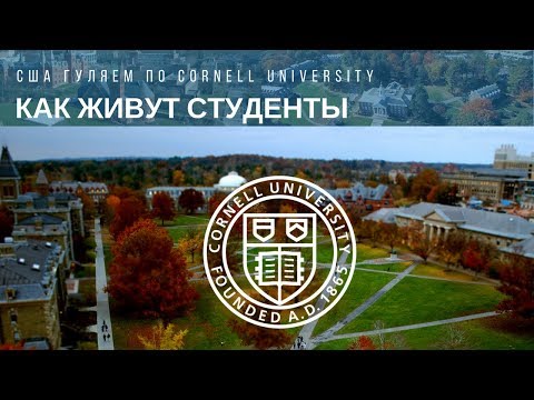 Видео: Колко студенти живеят в кампуса в Drexel?