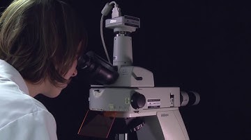 CHEMUNEX® SCANRDI - Sterility testing