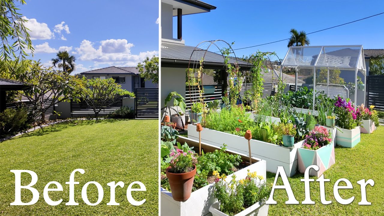 I turned my front yard into a food forest in 6 Months