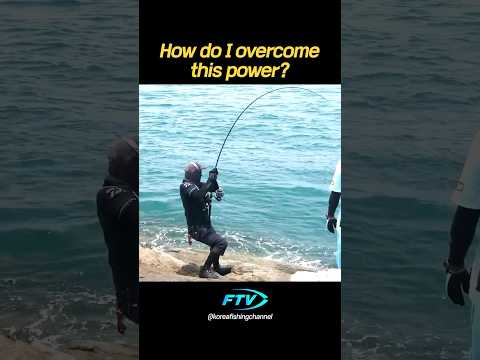 how do i overcome this <strong>big</strong> <strong>power</strong> #fishing #lurefishing #monsterfish #amberjackfishing