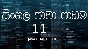 සිංහල ජාවා පාඩම 11 - Sinhala Java Tutorial 11 - Character