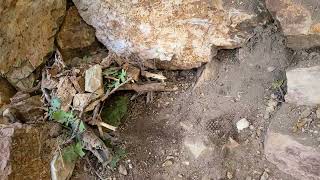 We Built a Sweet Miniature House With Nothing but Rocks, Sticks, and Leaves!