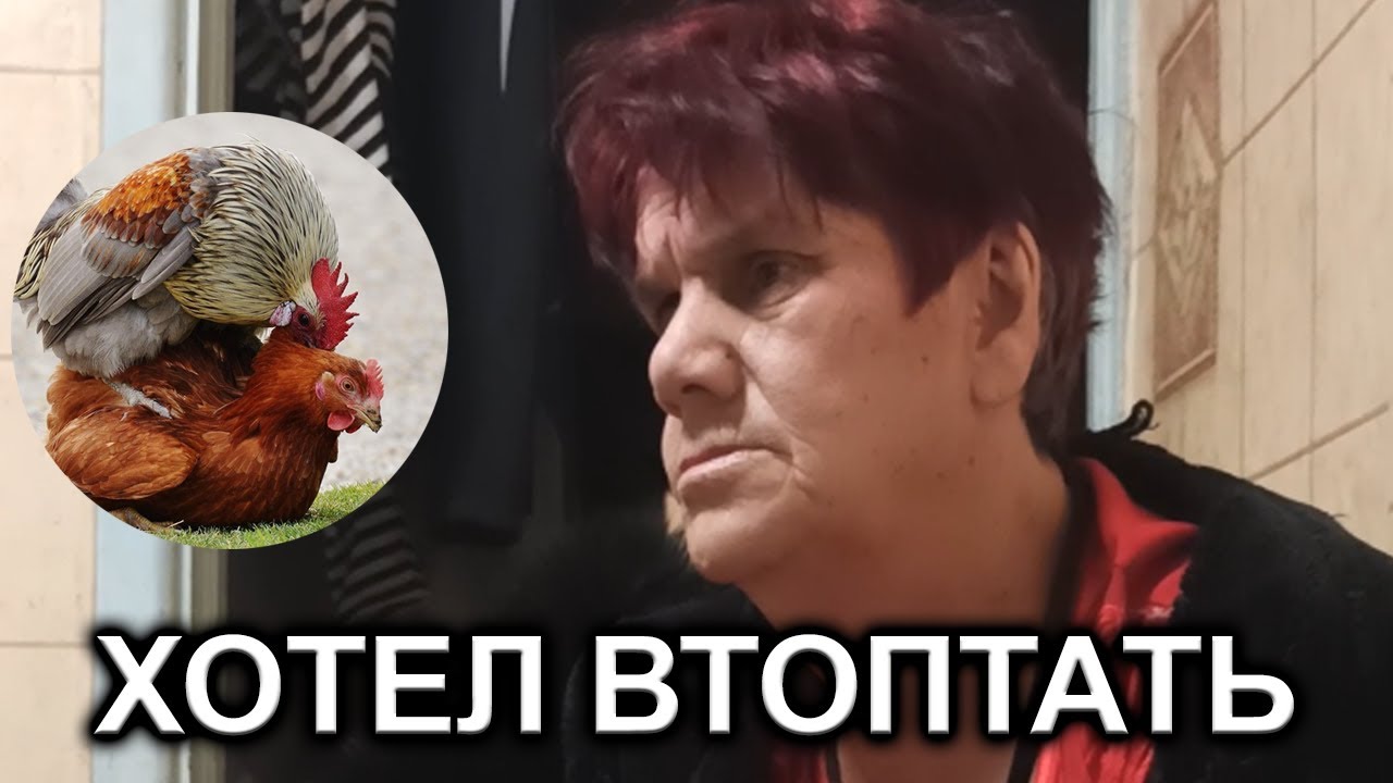 Карина иди сюда
