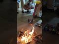 Fire Avoiding Car #arduino #diyprojects #schoolproject #smartgadgets #robotics #shortsindia #viral