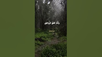 ﴿ وَأَنَّ إِلَىٰ رَبِّكَ الْمُنتَهَىٰ﴾[ سورة النجم : 42]