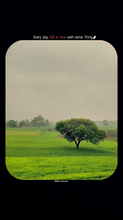 samajavaragamana song music || nature status|| trending audio|| #love#whatsappstatus#nature#lofi