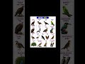 Birds name (pakshiyon k naam)