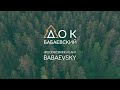 Бабаевский ДОК - открытие нового цеха