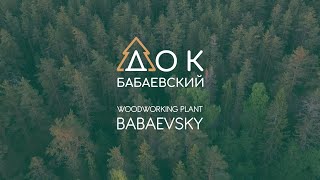 Бабаевский ДОК - открытие нового цеха