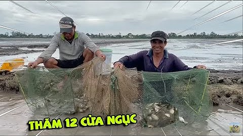 Trúng Mánh Nữa Rồi • Thăm Lú (12 cửa ngục) Dính Cá Trê Vàng, Cá Rô Mề Và Cá Lóc Quá Đã | Fishing