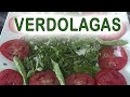 Ensalada de Verdolagas y diente de león