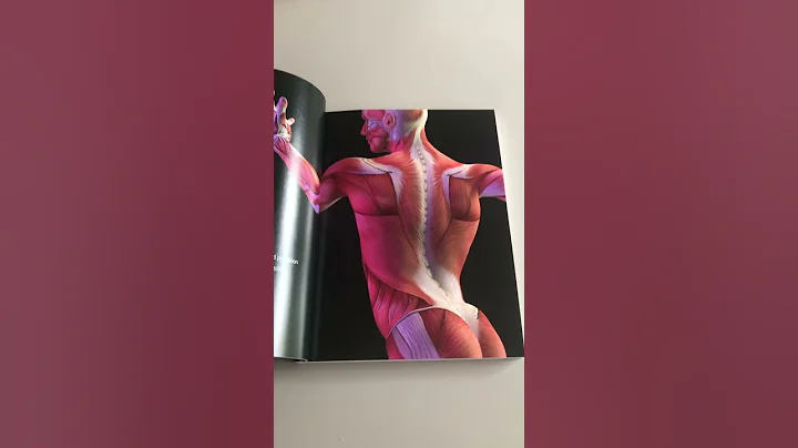 Muscle Testing: A Concise Guide