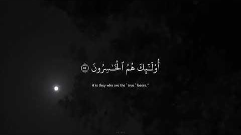 القارئ عبدالرحمن مسعد ﴿قُلْ كَفَى بِاللَّهِ بَيْنِي وَبَيْنَكُمْ شَهِيدًا﴾
