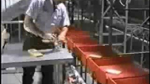 W & H Tilt Tray Sortation Conveyor System [SJF.com]