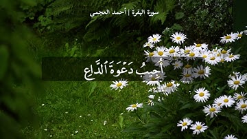 سورة البقرة الآية (١٨٦) | القارئ أحمد العجمى