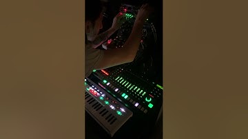 Techno Drum Jam with Roland TR8S and Moog DFAM