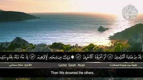 تلاوة هادئة للقارئ: صلاح مصلي🕌