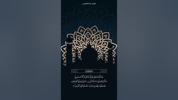 ﴿ويوم تقوم الساعة يومئذ يخسر المبطلون﴾ تلاوة من سورة الجاثية / للقارئ عبدالله الموسى