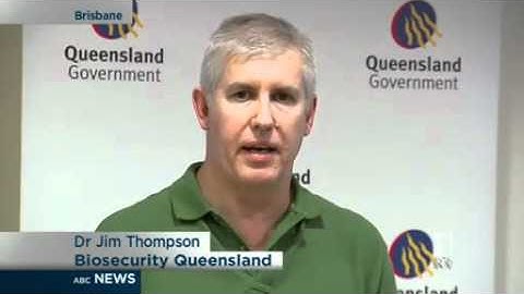 Hendra virus spreads to Qld