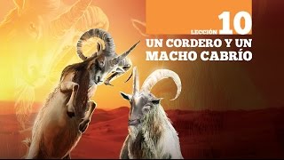 #10 Un cordero y un macho cabrío -  Biblia Facil - Daniel