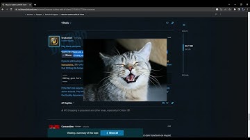 DRAGON FLIGHT BROKEN? Multiple BUGS? Disconnection? Server DOWN? What