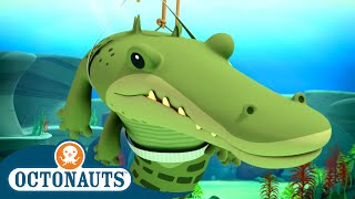 @Octonauts - The Saltwater Crocodile 🐊❄️ | Series 2 | Full Episode 20 | Cartoons for Kids