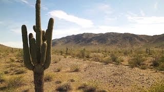 Rangers Spring Training 2014 - Tv Production Highlight Reel