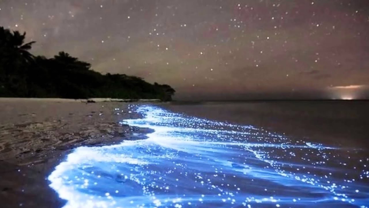 Resultado de imagem para IMAGENS PARA CHÃO DE ESTRELAS